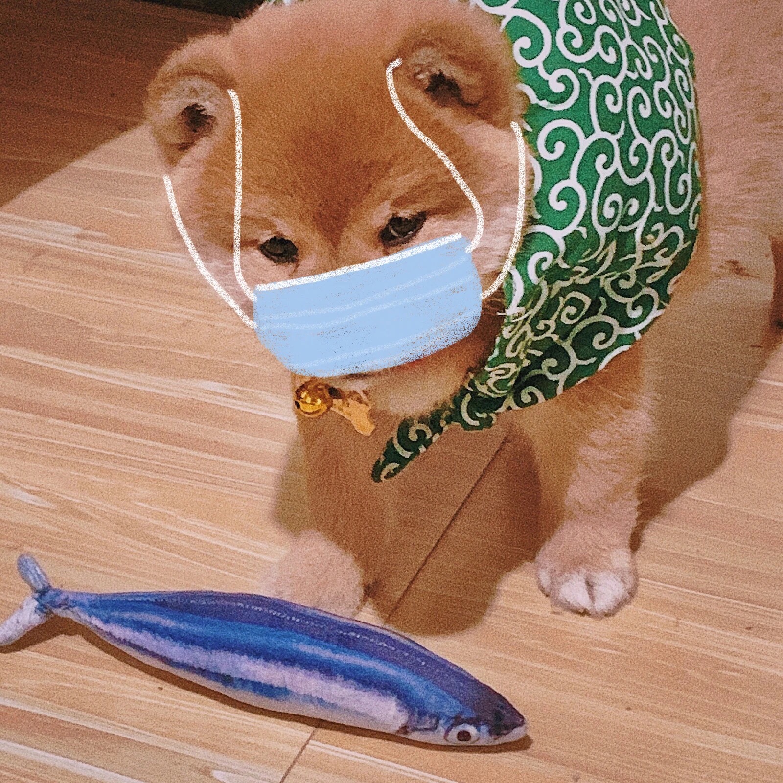 美女头像甜美卡通_美女头像