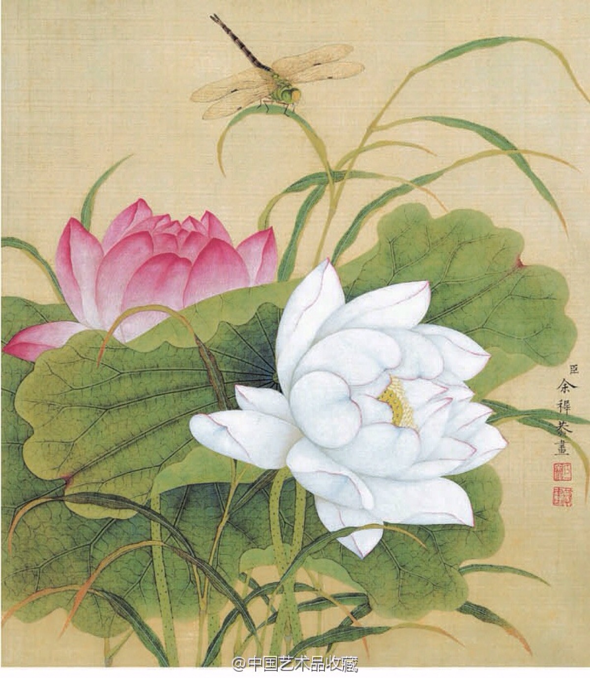 美女照片_美女照片大全壁纸高清