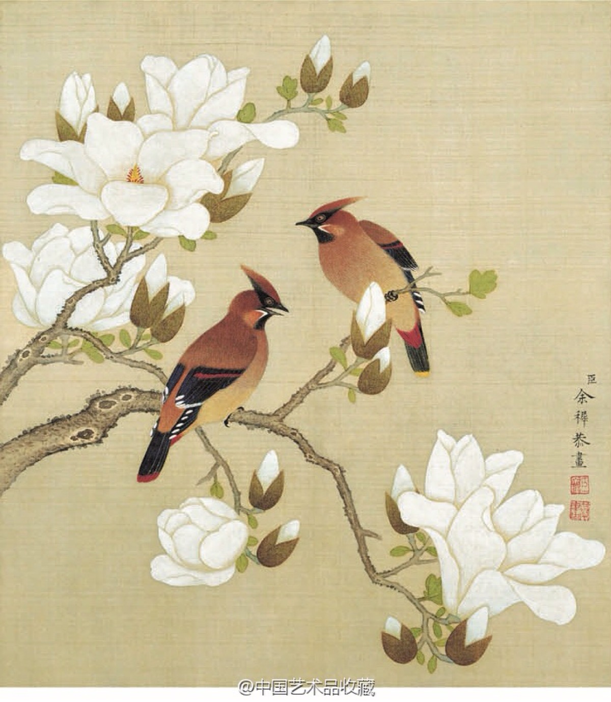 美女壁纸_美女图片微信头像高清头像
