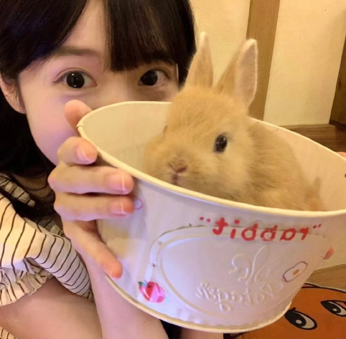 美女壁纸4k高清清纯_美女头像甜美