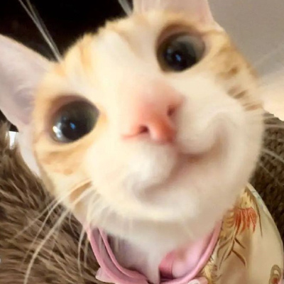 女生头像欧美女头_美女图片微信头像真人