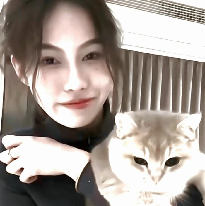 美女头像高冷_美女壁纸手机壁纸