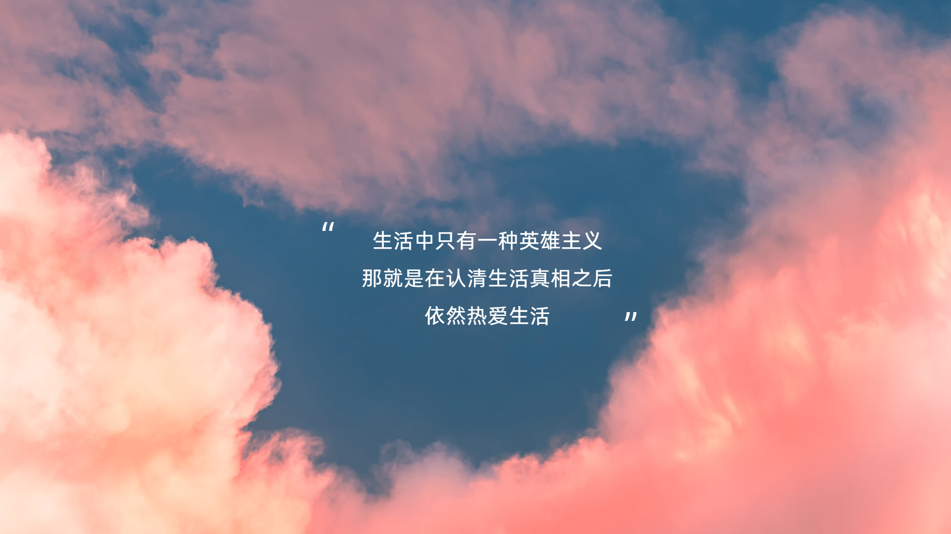 公园里美丽的郁金香和绿色的茎_美女壁纸桌面免费