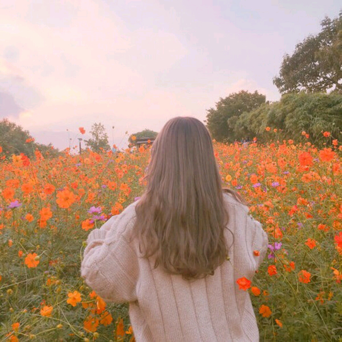 风光系列实景合成草原人物动作通用背景素材_美女图片微信头像高清头像