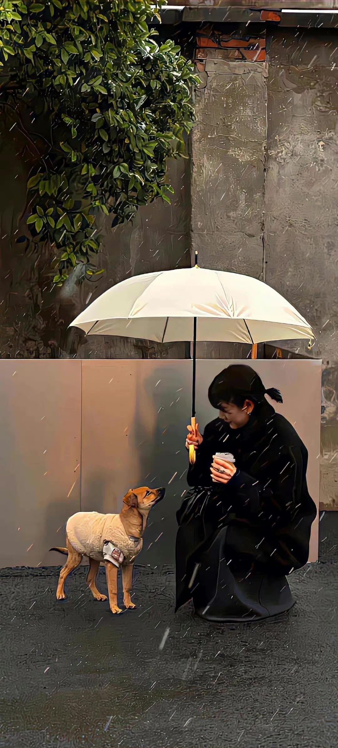 草原小狗乔克美女自拍背影微信头像