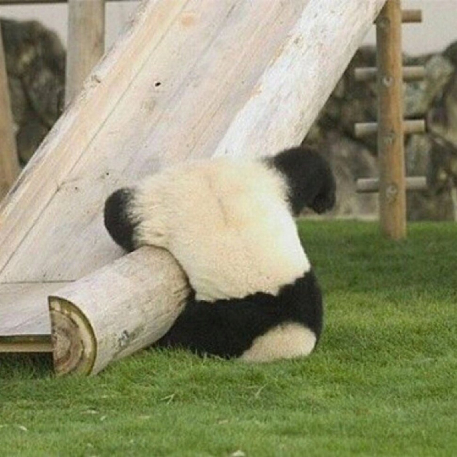 美女头像清新自然_美女照片头像真人图片