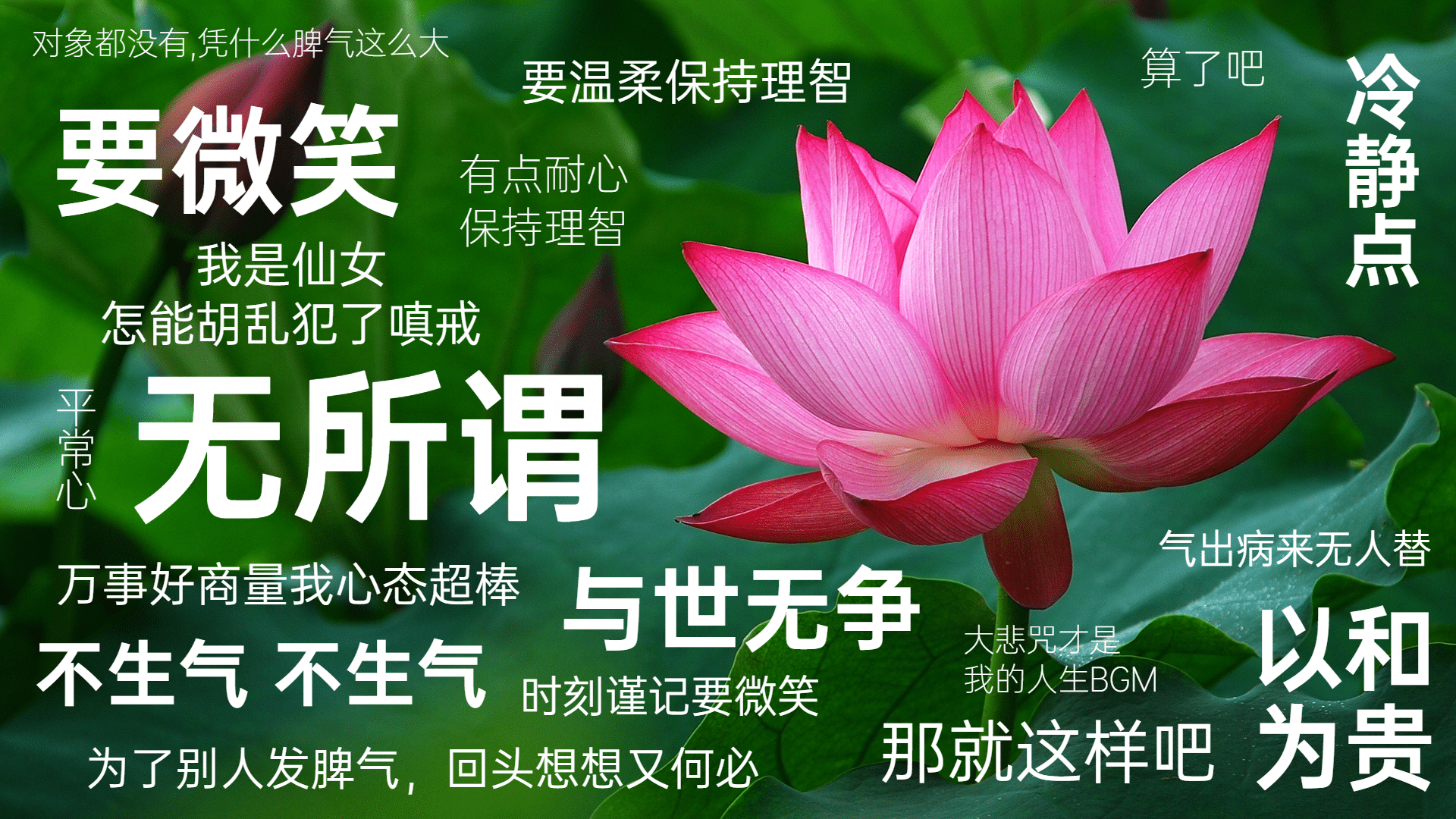 高考考研必备学习自律电脑大字壁纸_美女图片微信头像高清头像