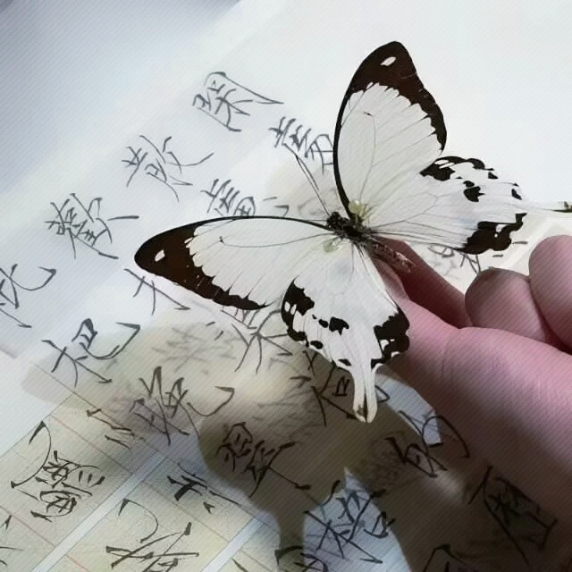 男朋友为什么老是吸我的小兔子美女头像图片真人