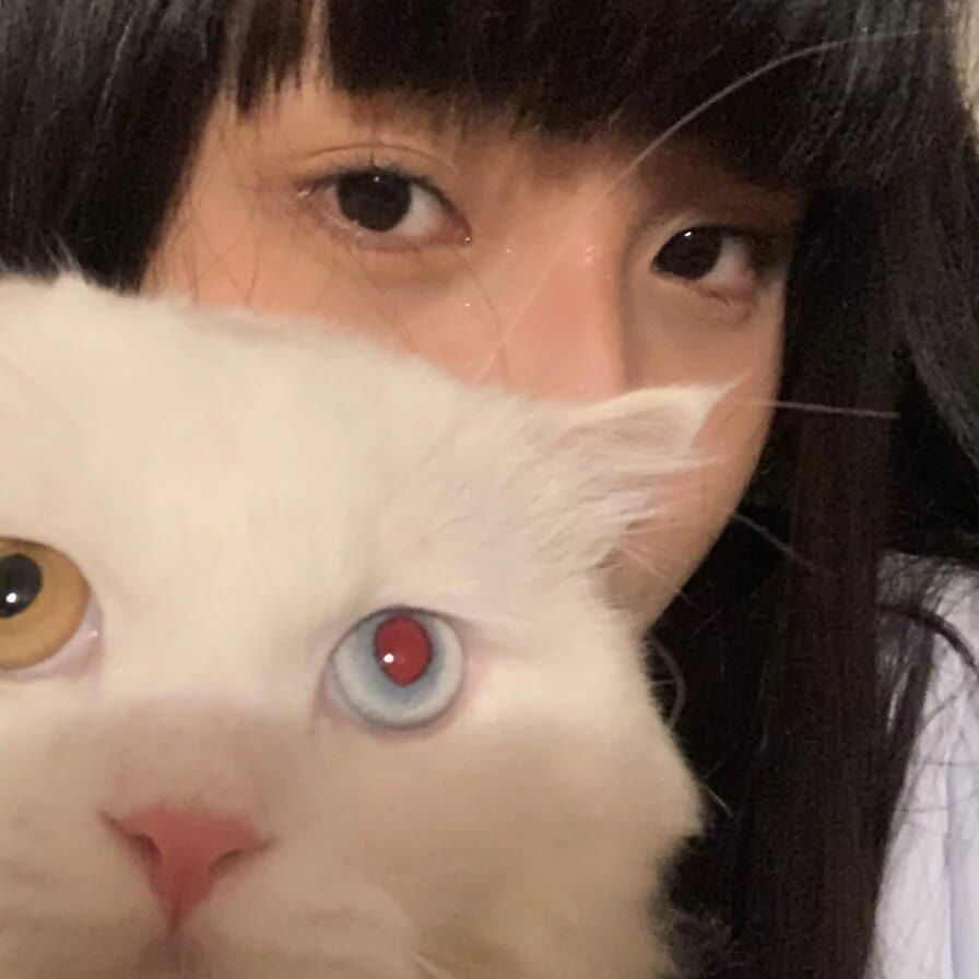 二ノ国美女壁纸手机壁纸